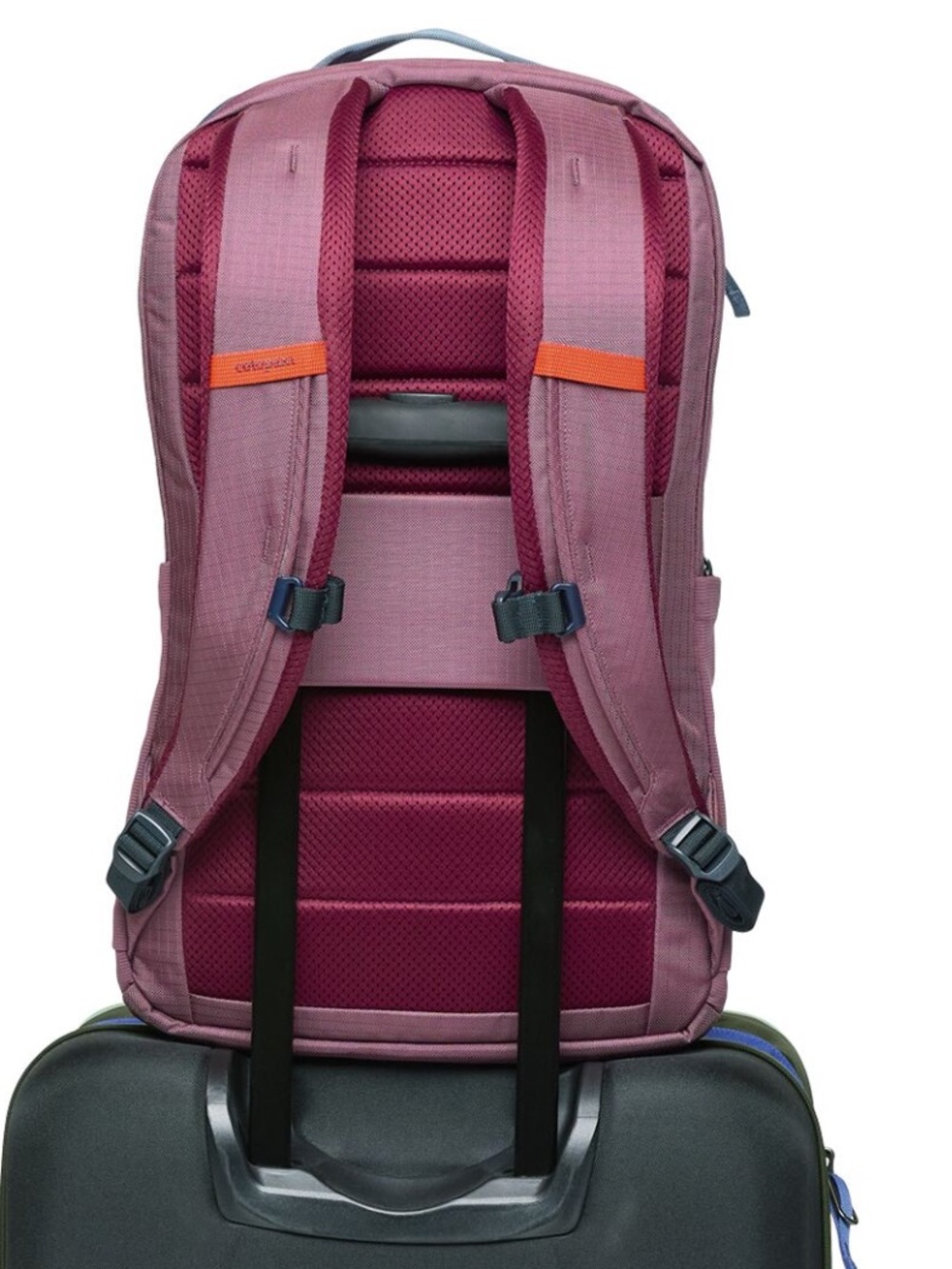 Cotopaxi Allpa 26L Daypack in Fig - Picture 5 of 15